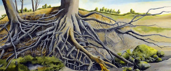 Ny kunst på klinikken sommer 2024